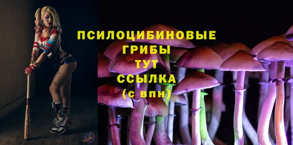 марки lsd Богданович