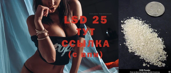 сатива Снежногорск