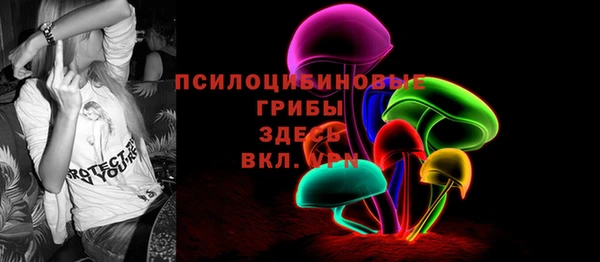 2c-b Беломорск