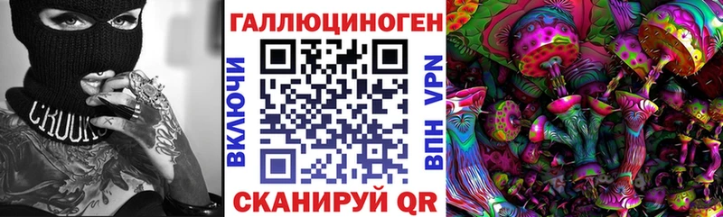 Галлюциногенные грибы Psilocybine cubensis Балашов